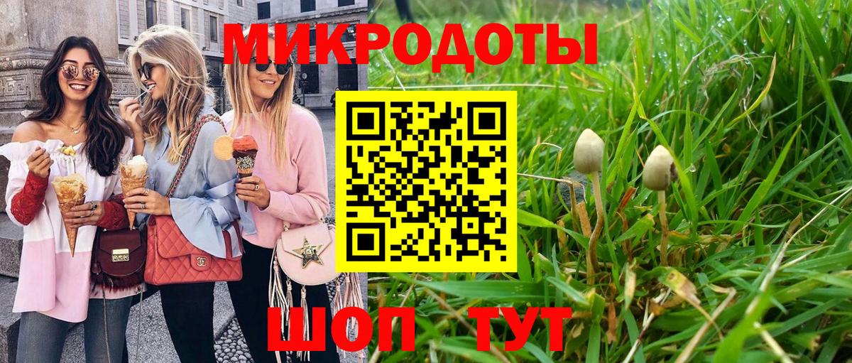 Галлюциногенные грибы GOLDEN TEACHER Гуково