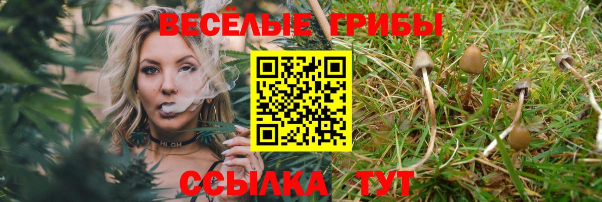 Псилоцибиновые грибы GOLDEN TEACHER  Вход с VPN  Гуково 